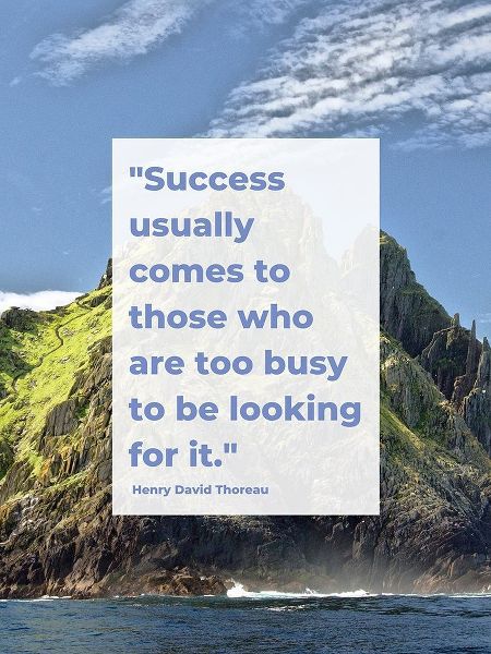 Henry David Thoreau Quote: Success