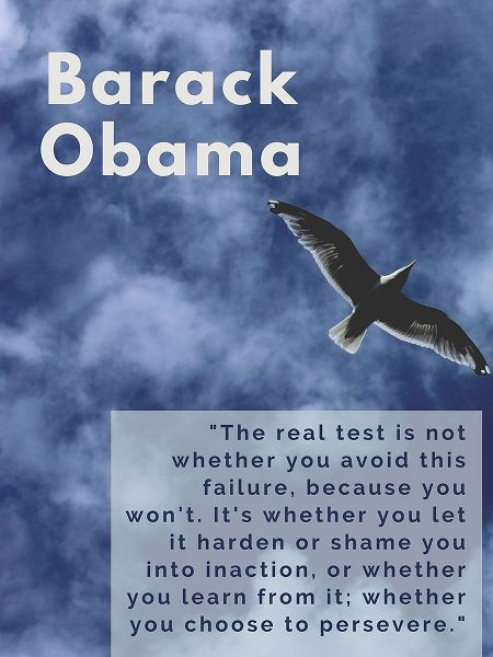 Barack Obama Quote: The Real Test