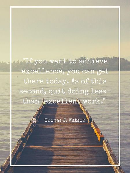 Thomas J. Watson Quote: Achieve Excellence