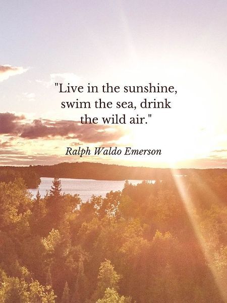 Ralph Waldo Emerson Quote: Swim the Sea