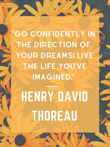 Henry David Thoreau Quote: Go Confidently