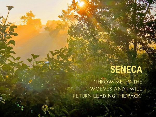 Seneca Quote: Leading the Pack