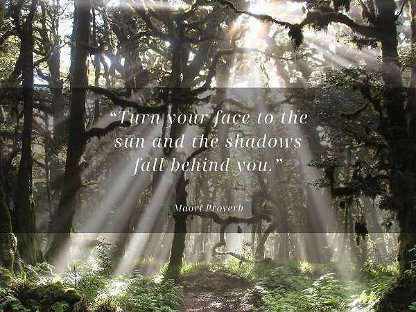 Maori Proverb Quote: Face to the Sun