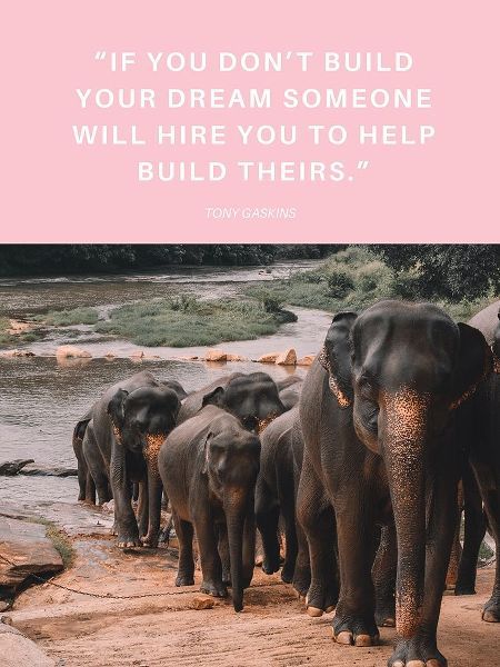 Tony Gaskins Quote: Build Your Dream