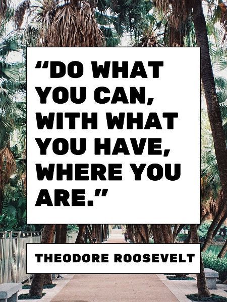 Theodore Roosevelt Quote: What You Have