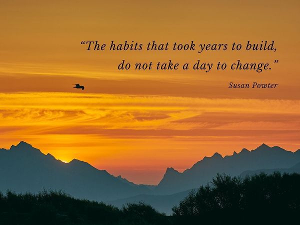 Susan Powter Quote: The Habits