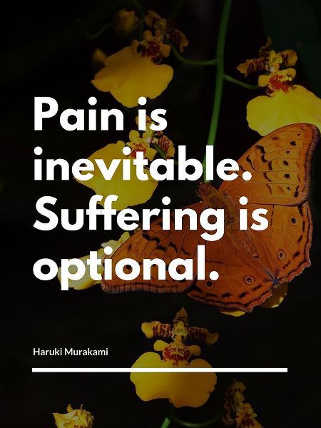 Haruki Murakami Quote: Pain is Inevitable
