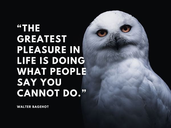Walter Bagehot Quote: Pleasure in Life