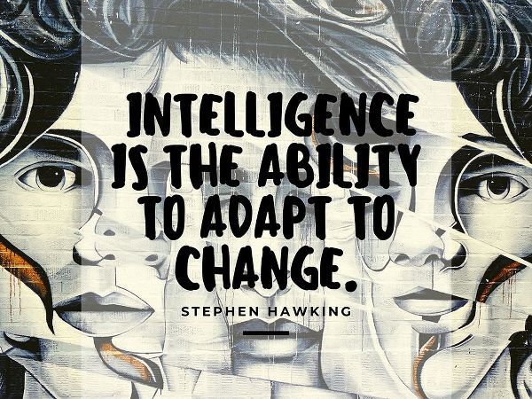 Stephen Hawking Quote: Adapt to Change
