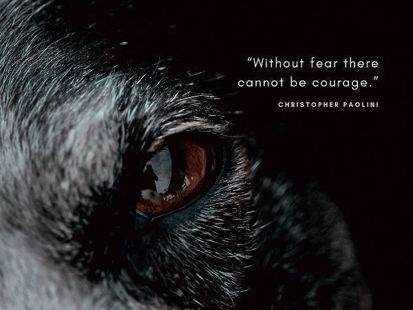 Christopher Paolini Quote: Without Fear