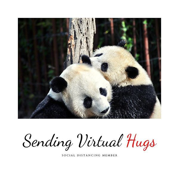 Artsy Quotes Quote: Virtual Hugs