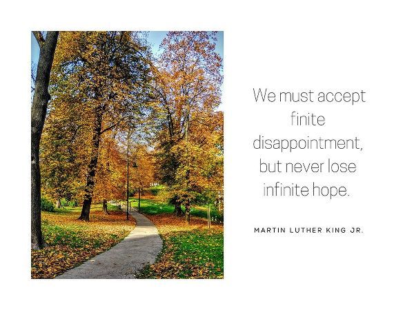 Martin Luther King, Jr. Quote: Accept Finite Disappointment