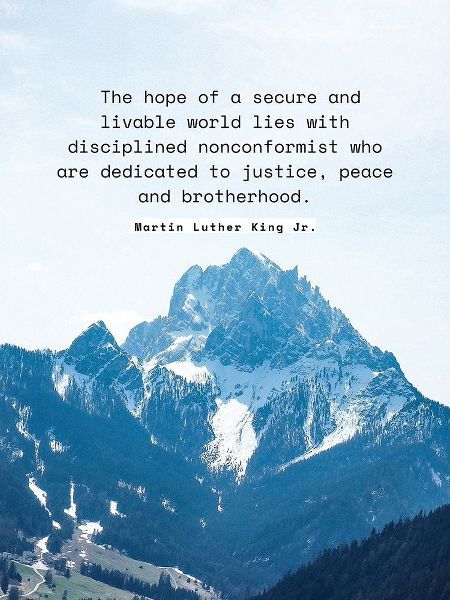 Martin Luther King, Jr. Quote: Secure and Livable World