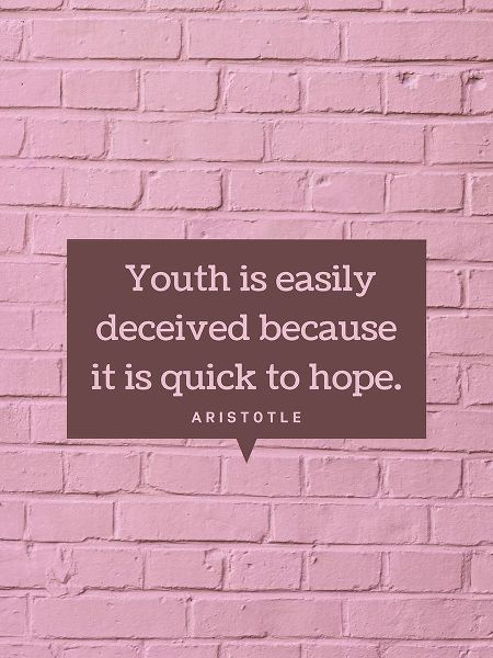 Aristotle Quote: Youth
