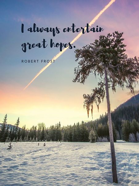 Robert Frost Quote: Entertain Great Hopes