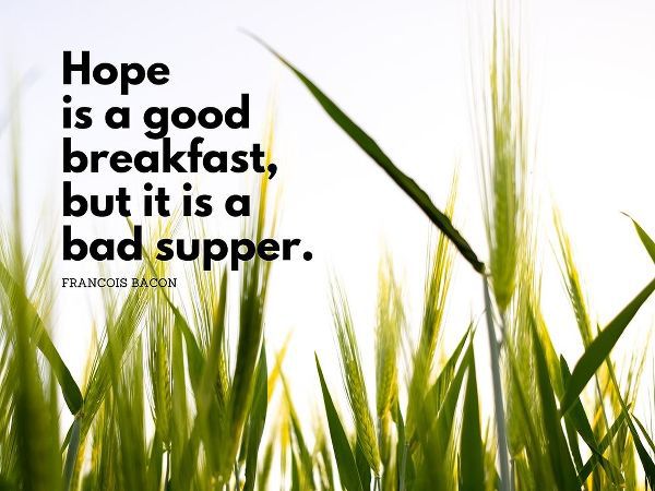 Francois Bacon Quote: Hope
