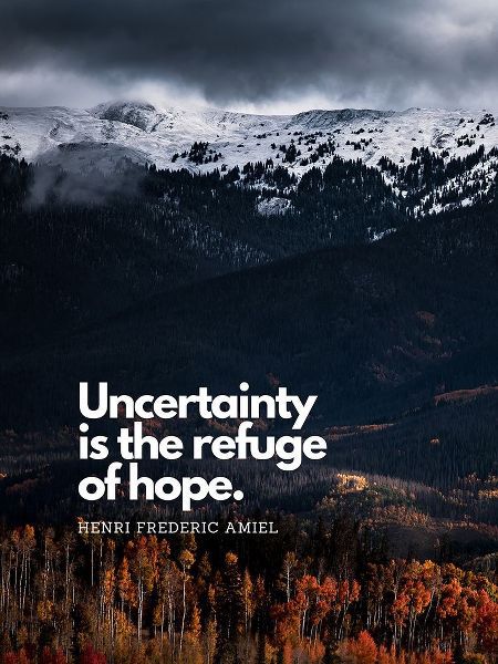 Henri Frederic Amiel Quote: Refuge of Hope