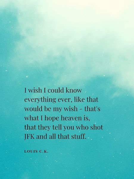 Louis C. K. Quote: I Wish