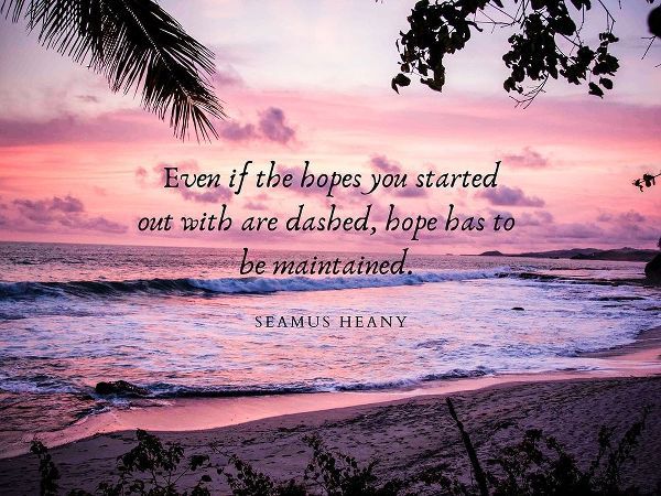 Seamus Heaney Quote: Hope