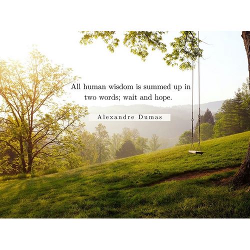 Alexandre Dumas Quote: Human Wisdom