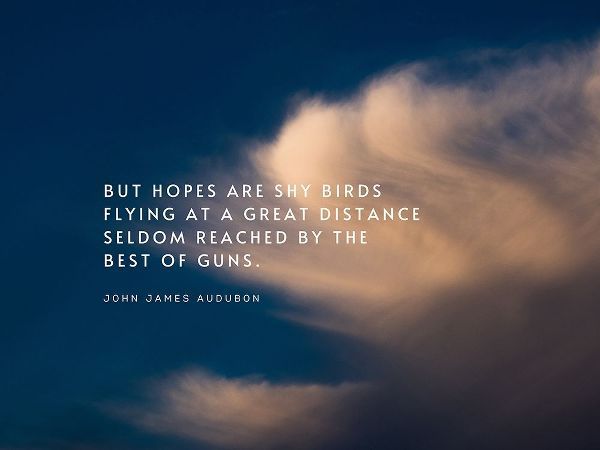 John James Audubon Quote: Shy Birds Flying