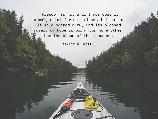Bryant H. McGill Quote: Freedom is Not a Gift
