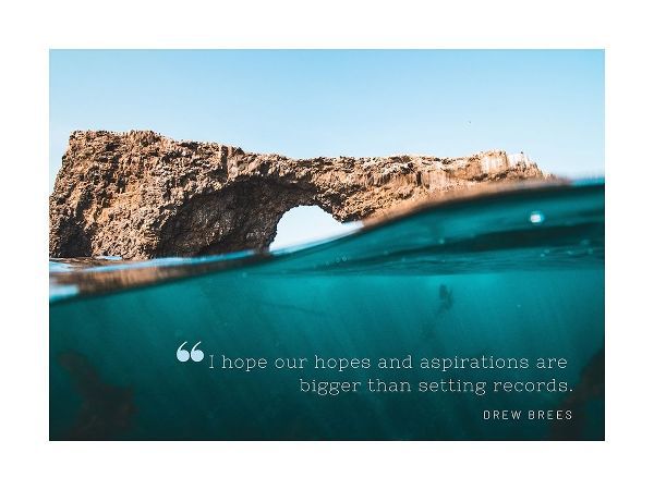 Drew Brees Quote: Aspirations