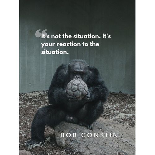 Bob Conklin Quote: Reaction