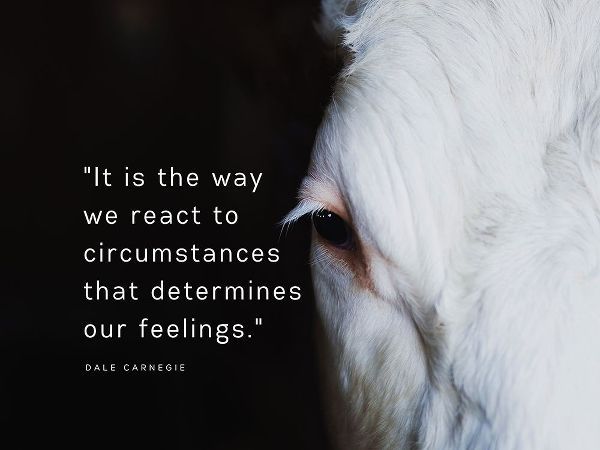 Dale Carnegie Quote: Our Feelings