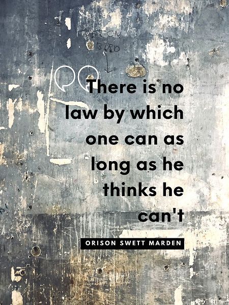 Orison Swett Marden Quote: There is No Law