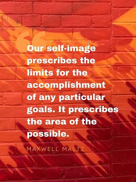 Maxwell Maltz Quote: Particular Goals