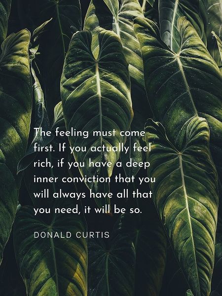 Donald Curtis Quote: Deep Inner Conviction