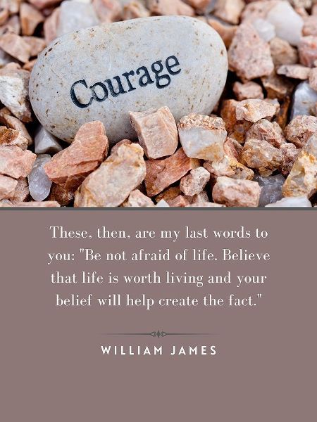 William James Quote: Not Afraid of Life