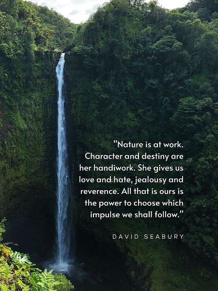David Seabury Quote: Nature is at Work