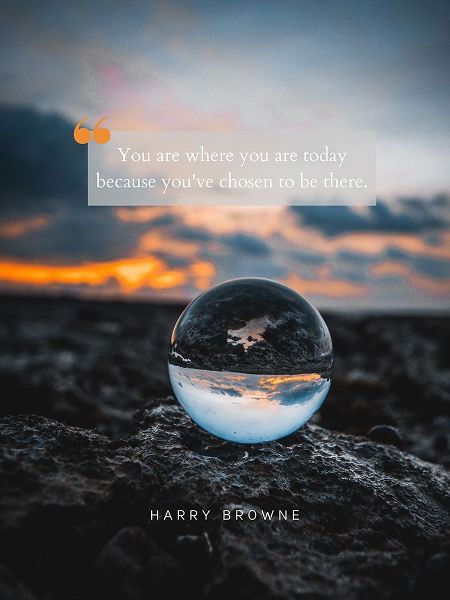Harry Browne Quote: Chosen to Be There