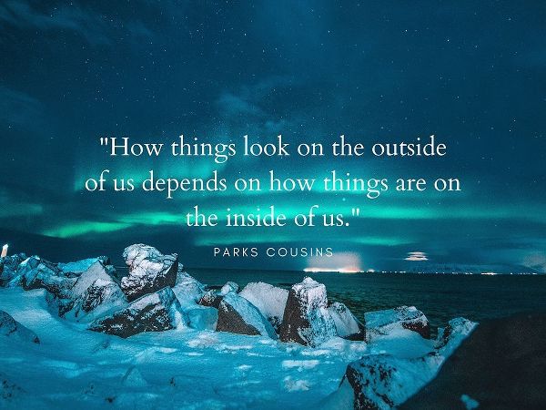 Parks Cousins Quote: How Things Look