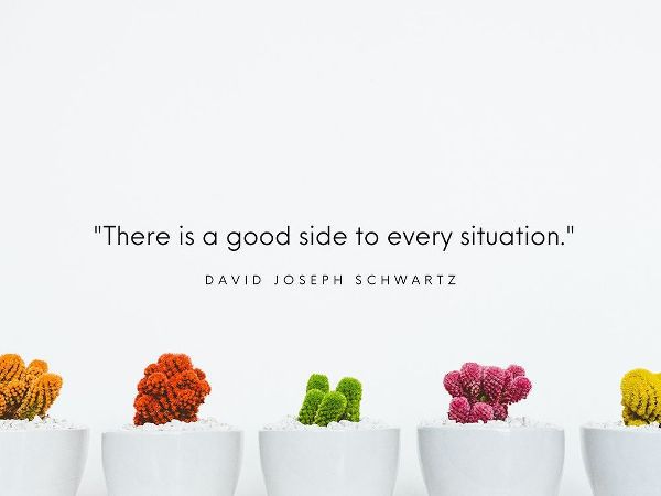 David Joseph Schwartz Quote: Every Situation