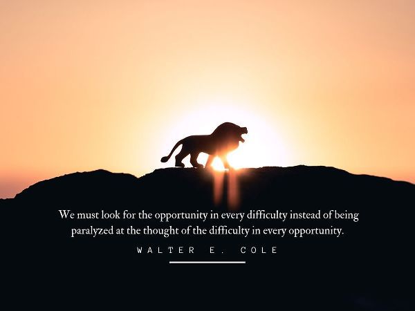 Walter E. Cole Quote: Opportunity