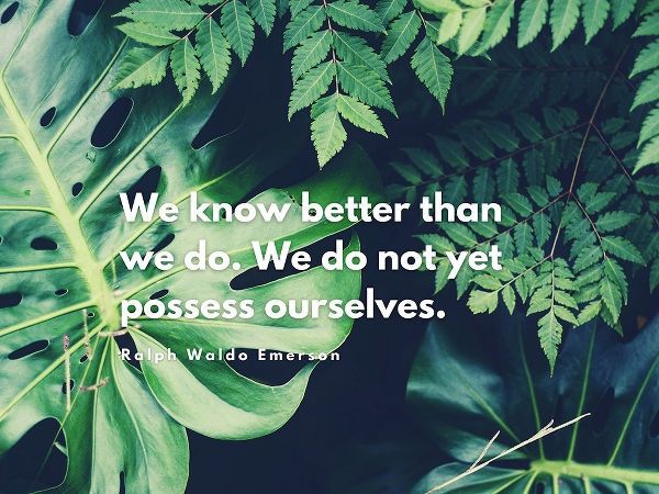 Ralph Waldo Emerson Quote: We Know Better Than We Do