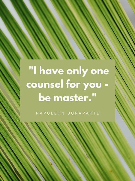 Napoleon Bonaparte Quote: Be Master