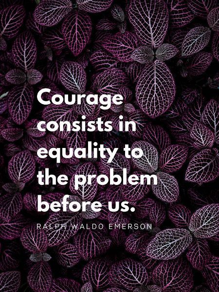 Ralph Waldo Emerson Quote: Equality