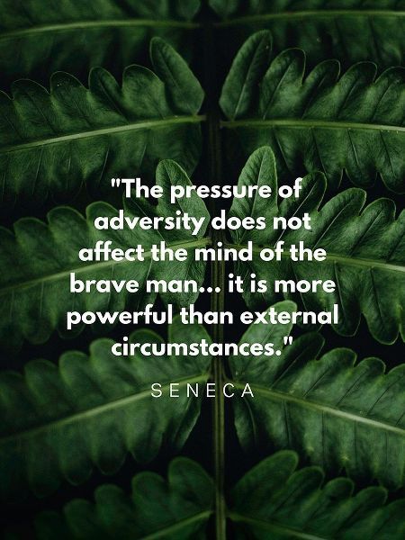 Seneca Quote: Adversity