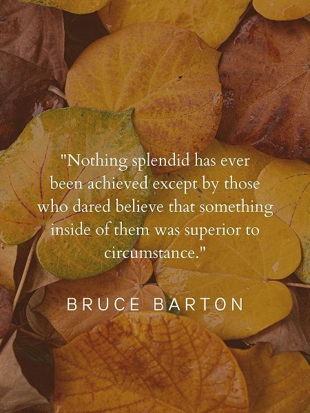 Bruce Barton Quote: Nothing Splendid