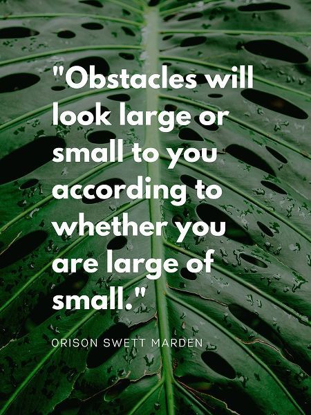 Orison Swett Marden Quote: Obstacles