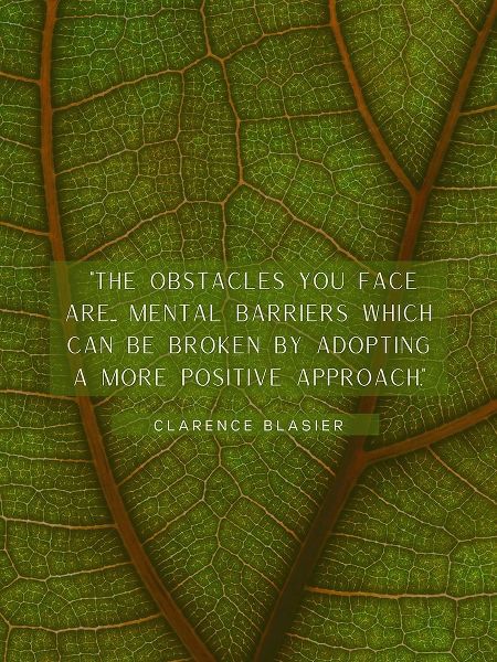 Clarence Blasier Quote: Obstacles