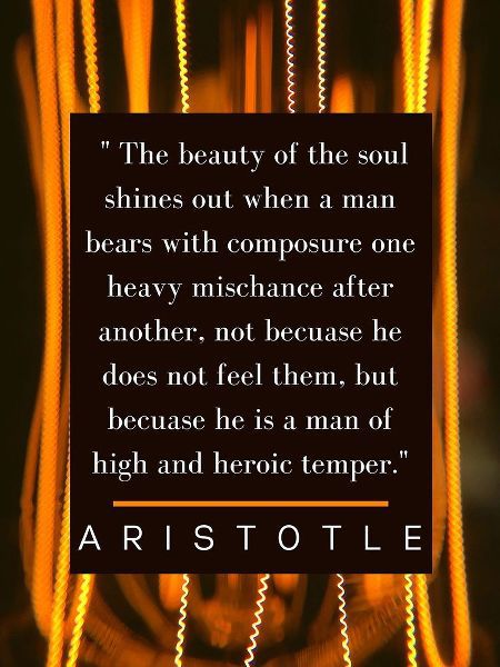 Aristotle Quote: The Soul Shines
