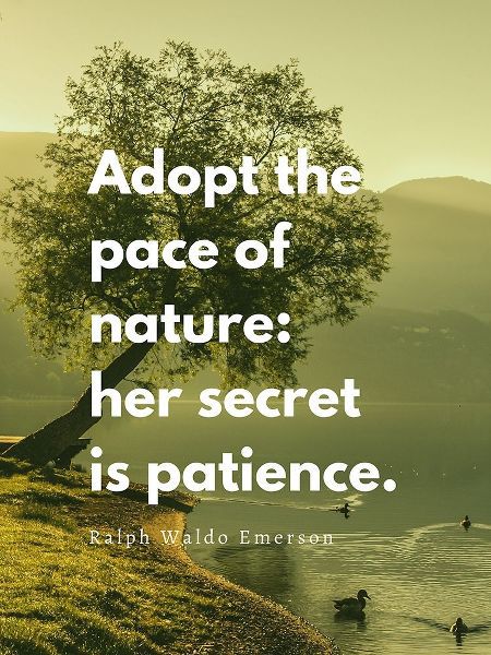Ralph Waldo Emerson Quote: Adopt the Pace