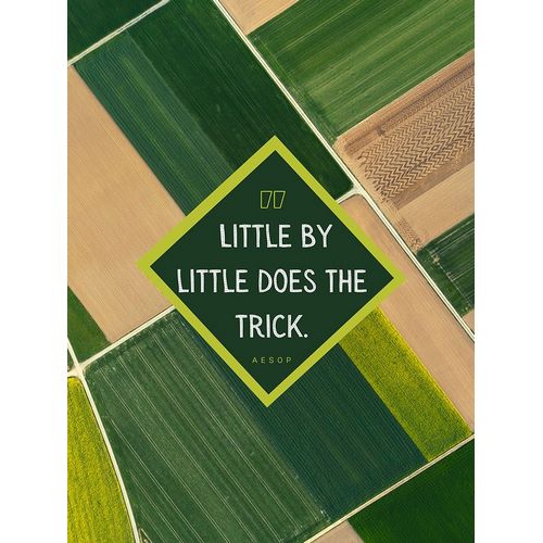 Aesop Quote: Little by Little
