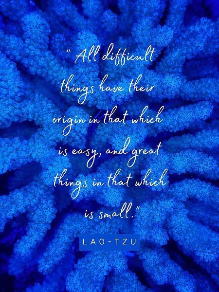 Lao-Tzu Quote: Difficult Things