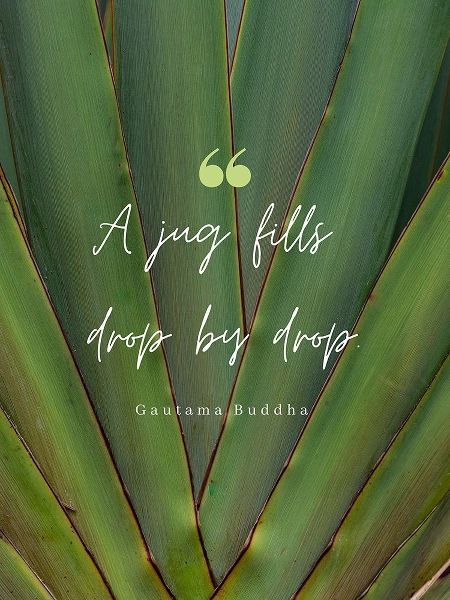 Gautama Buddha Quote: Drop by Drop